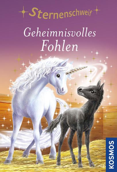 Buchcover Geheimnisvolles Fohlen